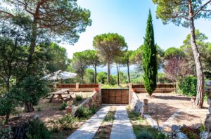 ¡Parcela en venta con apartamento con encanto!