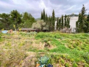 CONSTRUYE LA CASA DE TUS SUEÑOS