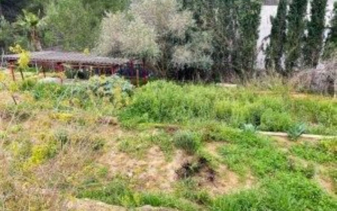 CONSTRUYE LA CASA DE TUS SUEÑOS