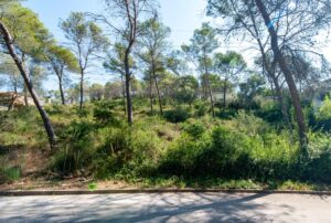 Construye el hogar que imaginas